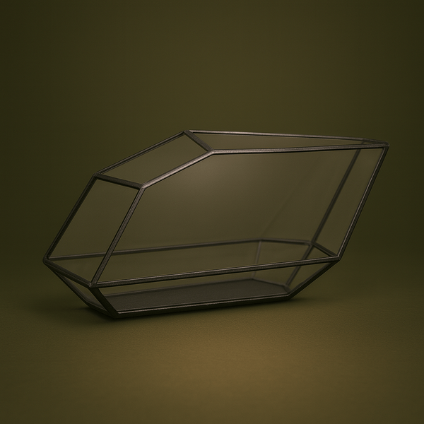 Terrarium géométrique design pour plante – L’Atelier Terrator