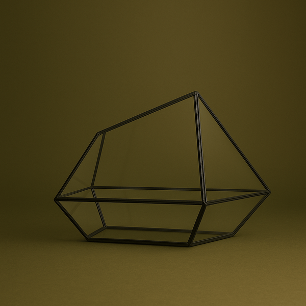 Grand terrarium géométrique pour plante – L’Atelier Terrator