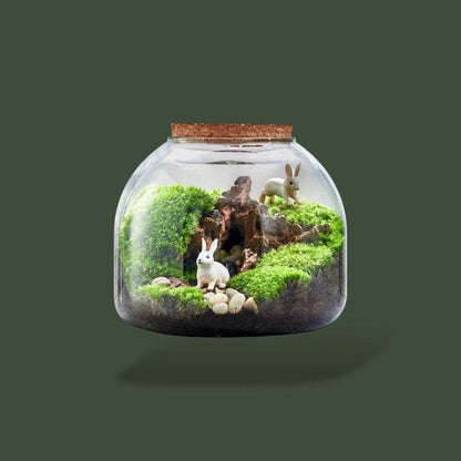 Vase en verre pour terrarium – L’Atelier Terrator