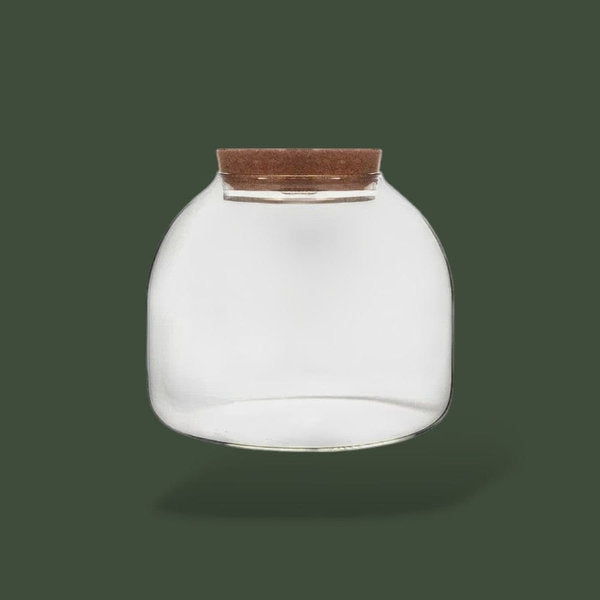 Vase en verre pour terrarium – L’Atelier Terrator