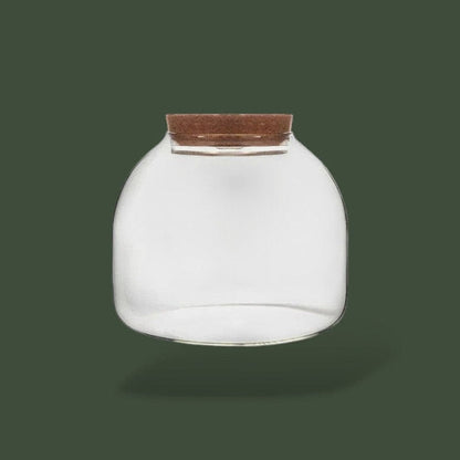 Vase en verre pour terrarium – L’Atelier Terrator