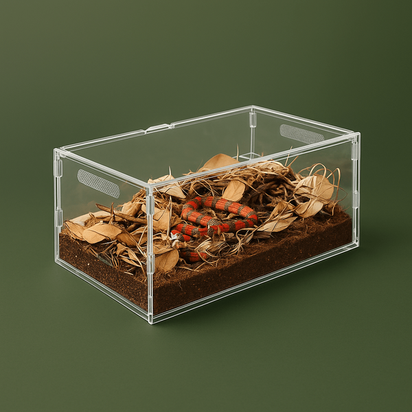 Boite vertical en acrylique pour reptile – L’Atelier Terrator