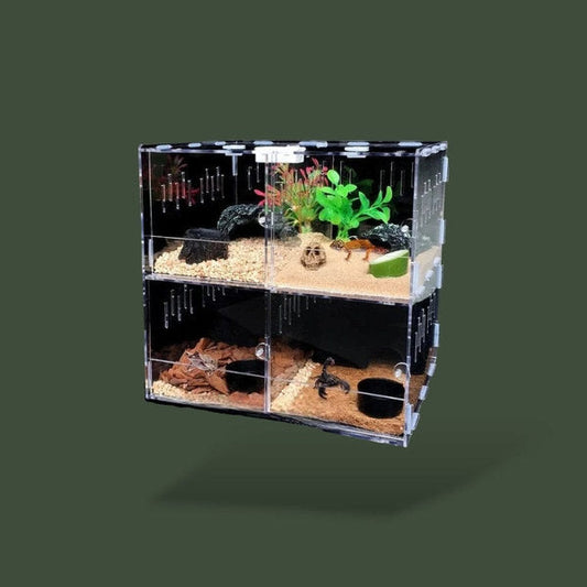 Lot de 4 boites unis pour tortues avec hygromètre – L’Atelier Terrator