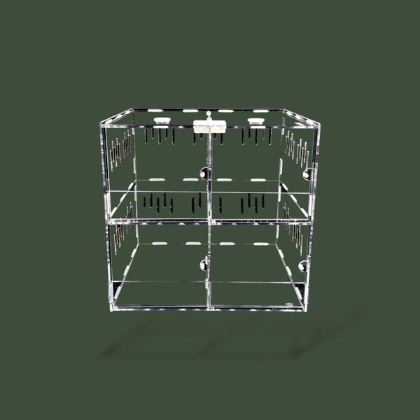 Lot de 4 boites unis pour tortues avec hygromètre – L’Atelier Terrator