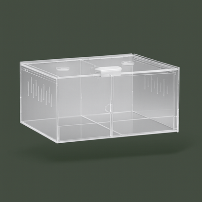 Double terrarium en acrylique ventilé – L’Atelier Terrator