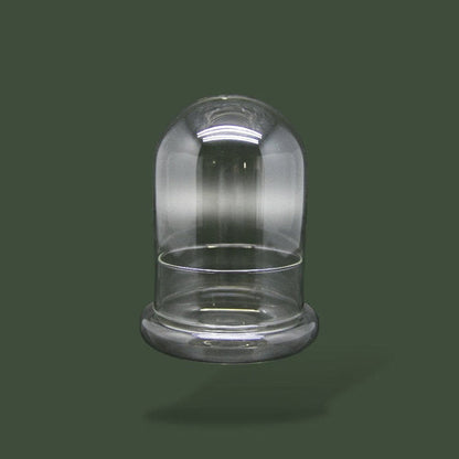 Terrarium dôme en verre pour plante – L’Atelier Terrator