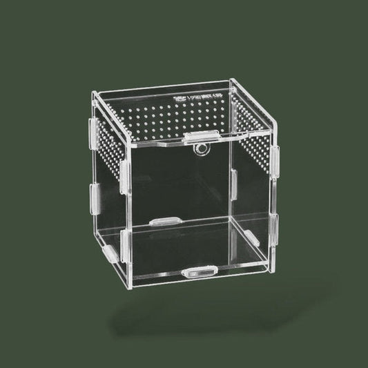 Mini terrarium ventilée – L’Atelier Terrator