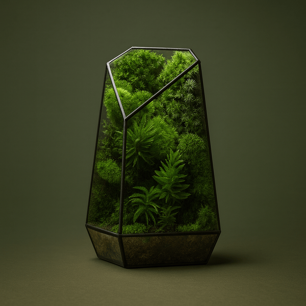 Bocal design en verre pour plantes – L’Atelier Terrator