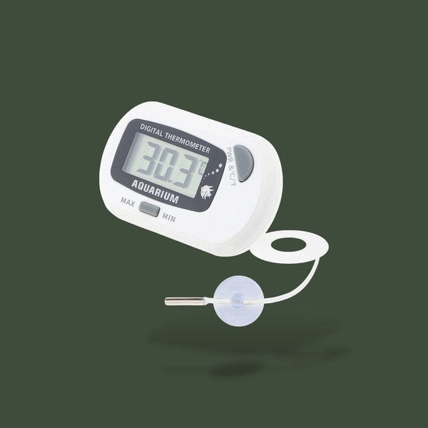 Thermomètre digital blanc pour reptile – L’Atelier Terrator