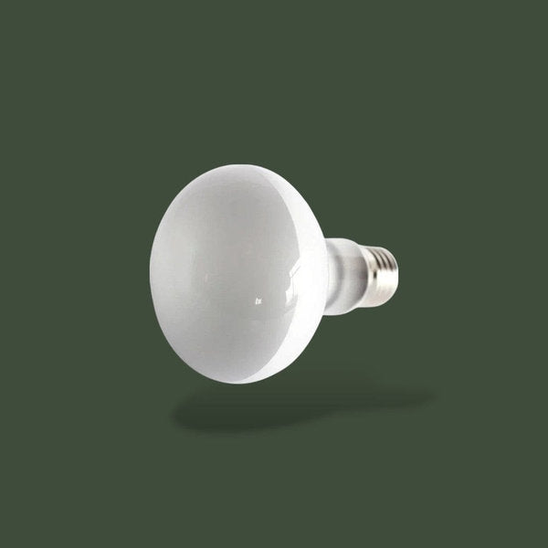 Ampoule chauffante 50W pour terrarium – L’Atelier Terrator