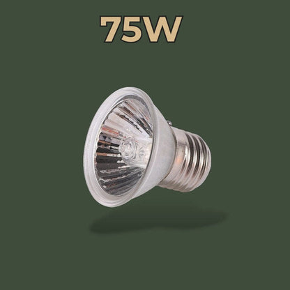 Ampoule chauffante et UV 75W pour terrarium – L’Atelier Terrator