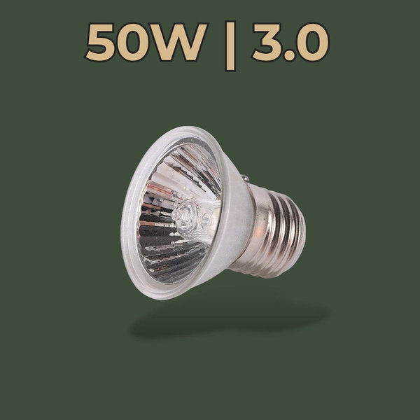 Ampoule chauffante et UV 50W pour terrarium – L’Atelier Terrator