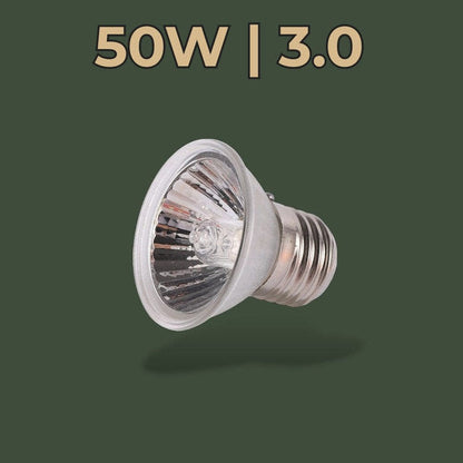 Ampoule chauffante et UV 50W pour terrarium – L’Atelier Terrator