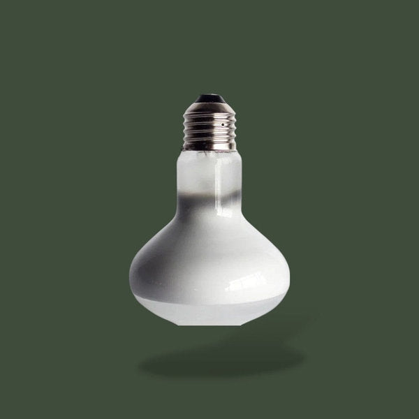 Ampoule chauffante 75W pour caméléon – L’Atelier Terrator