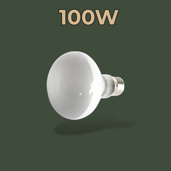 Ampoule chauffante 100W pour terrarium – L’Atelier Terrator