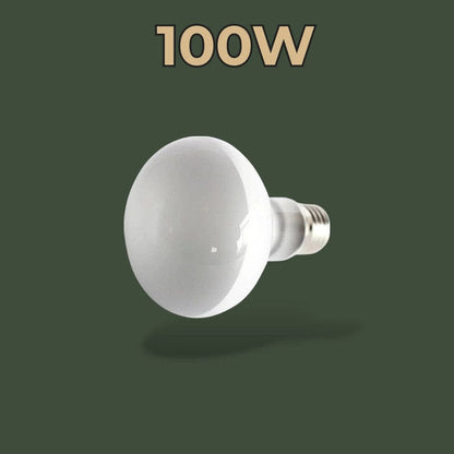 Ampoule chauffante 100W pour terrarium – L’Atelier Terrator