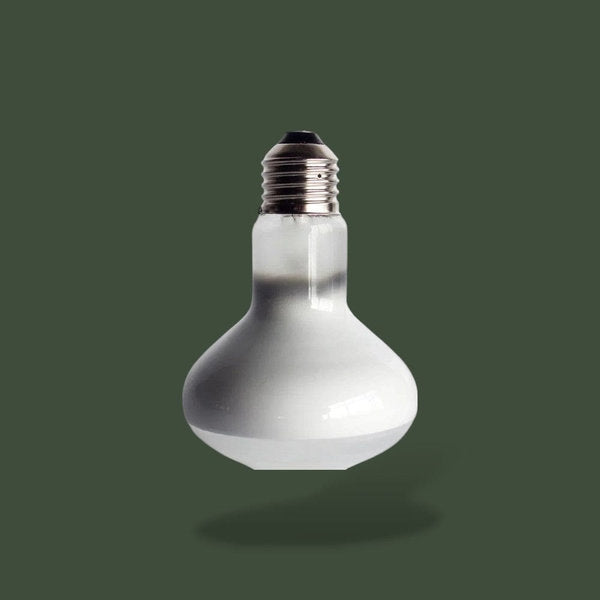 Ampoule chauffante 100W pour terrarium – L’Atelier Terrator