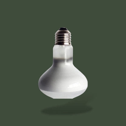 Ampoule chauffante 100W pour terrarium – L’Atelier Terrator