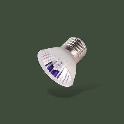 Ampoule chauffante 25W pour tortue – L’Atelier Terrator