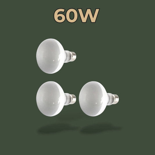 Lot de 3 ampoules chauffantes 60W pour reptiles – L’Atelier Terrator