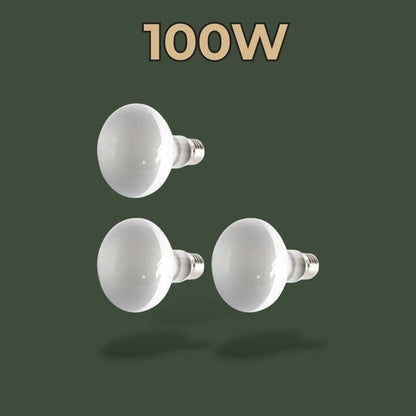 Lot de 3 ampoules chauffantes 100W pour reptile – L’Atelier Terrator