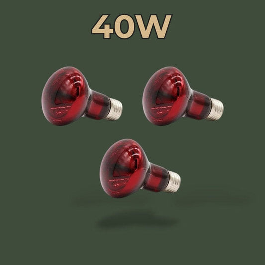 Lot de 3 ampoules chauffantes infrarouge 40W pour terrarium – L’Atelier Terrator