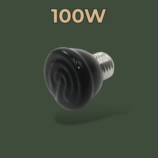 Ampoule céramique chauffante 100W pour reptile – L’Atelier Terrator