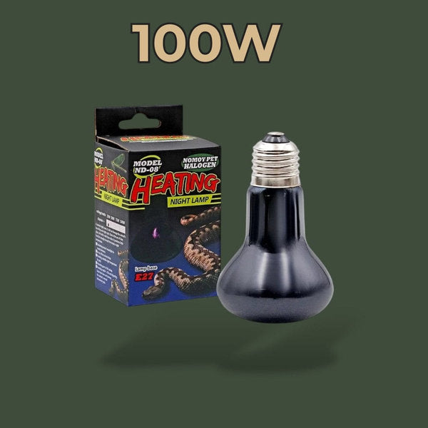 Ampoule céramique chauffante 100W pour terrarium – L’Atelier Terrator
