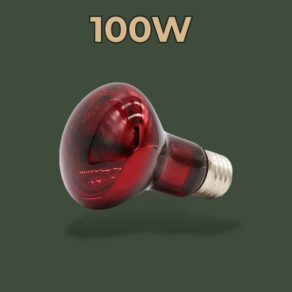 Lampe chauffante infrarouge 100W pour reptiles – L’Atelier Terrator