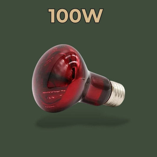 Lampe chauffante infrarouge 100W pour reptiles – L’Atelier Terrator