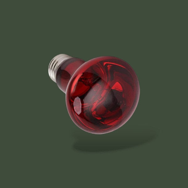 Lampe chauffante infrarouge 100W pour reptiles – L’Atelier Terrator