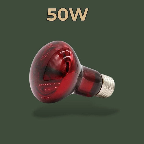 Lampe infrarouge chauffante 50W pour reptiles – L’Atelier Terrator