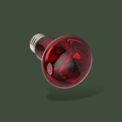 Lampe infrarouge chauffante 50W pour reptiles – L’Atelier Terrator