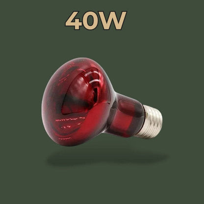 Lampe chauffante infrarouge 40W pour terrarium – L’Atelier Terrator
