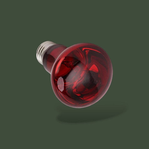 Lampe chauffante infrarouge 40W pour terrarium – L’Atelier Terrator