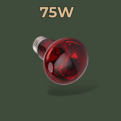 Lampe chauffante infrarouge 75W pour terrarium – L’Atelier Terrator