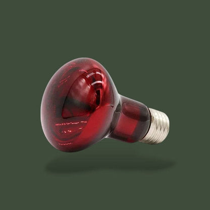 Lampe chauffante infrarouge 75W pour terrarium – L’Atelier Terrator