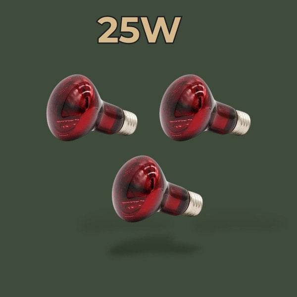 Lot de 3 lampes infrarouges 25W pour terrarium – L’Atelier Terrator