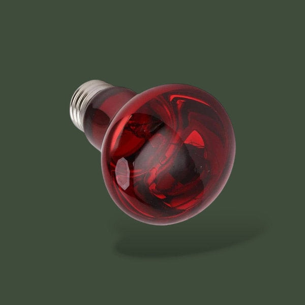 Lot de 3 lampes infrarouges 25W pour terrarium – L’Atelier Terrator