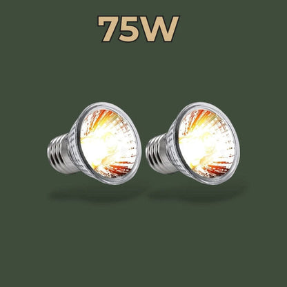 Lampe chauffante UVB 75W pour reptiles – L’Atelier Terrator