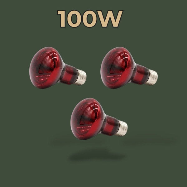 Lot de 3 lampes chauffantes infrarouge 100W – L’Atelier Terrator