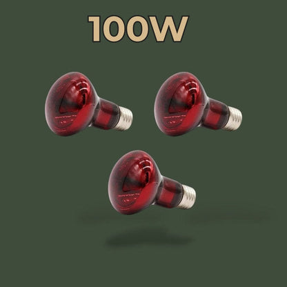 Lot de 3 lampes chauffantes infrarouge 100W – L’Atelier Terrator