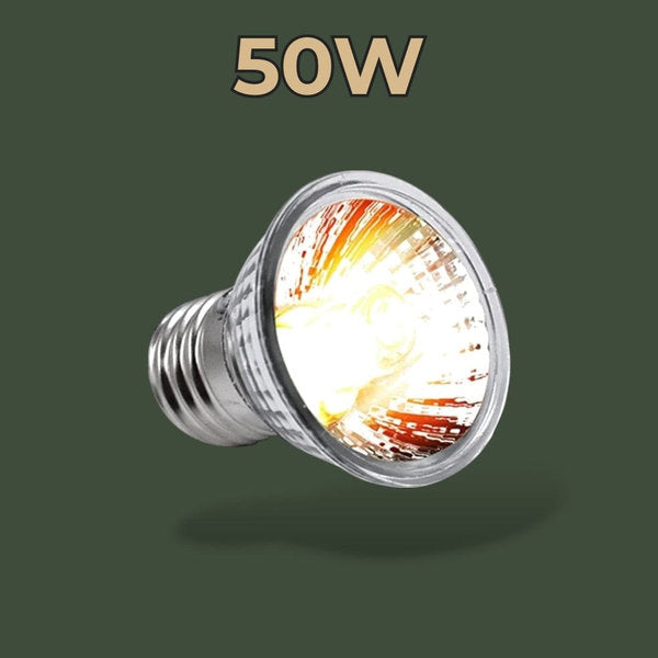 Lampe chauffante UV 50W pour terrarium – L’Atelier Terrator