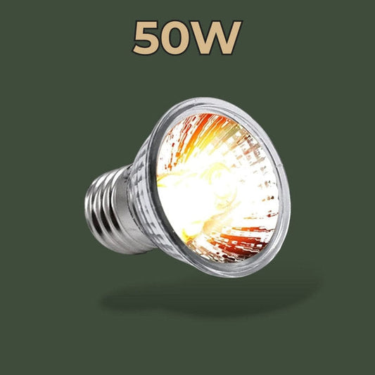 Lampe chauffante UV 50W pour terrarium – L’Atelier Terrator