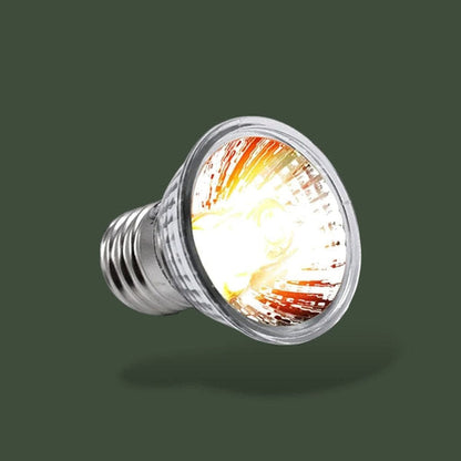 Lot de 3 lampes chauffantes UVB 25W pour terrarium – L’Atelier Terrator