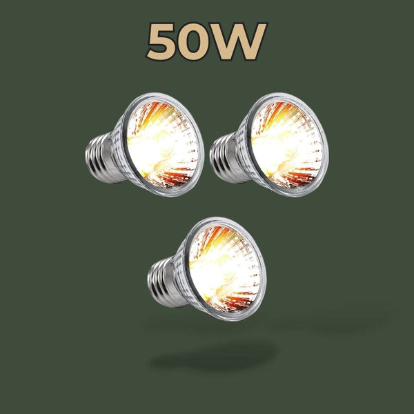 Lot de 3 lampes chauffantes 50W pour terrarium – L’Atelier Terrator
