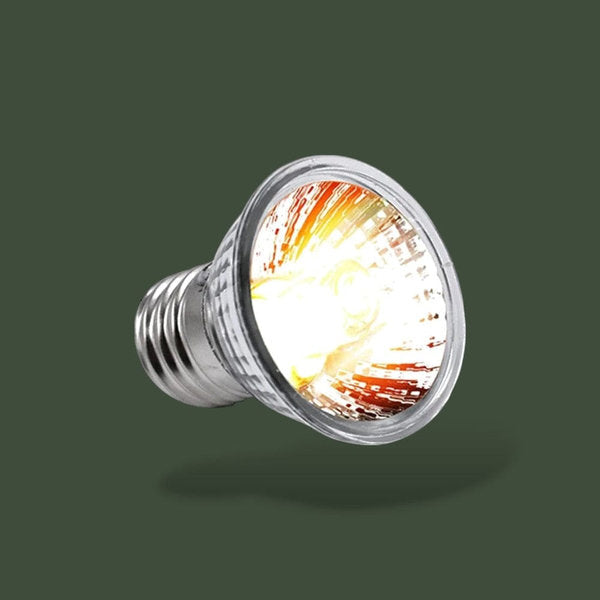 Lot de 3 lampes chauffantes 50W pour terrarium – L’Atelier Terrator