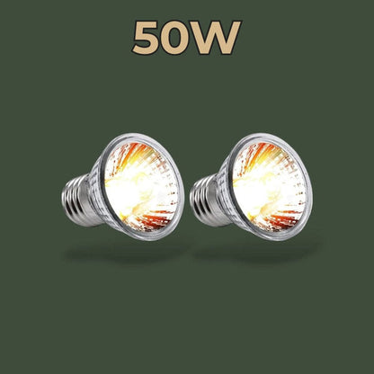 Lot de 2 lampes chauffantes 50W pour terrarium – L’Atelier Terrator
