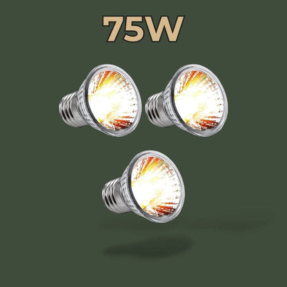 Lot de 3 lampes chauffantes UVB 75W – L’Atelier Terrator