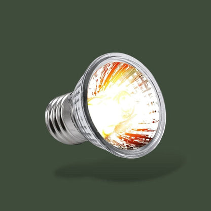 Lot de 2 lampes chauffantes 75W pour terrarium – L’Atelier Terrator